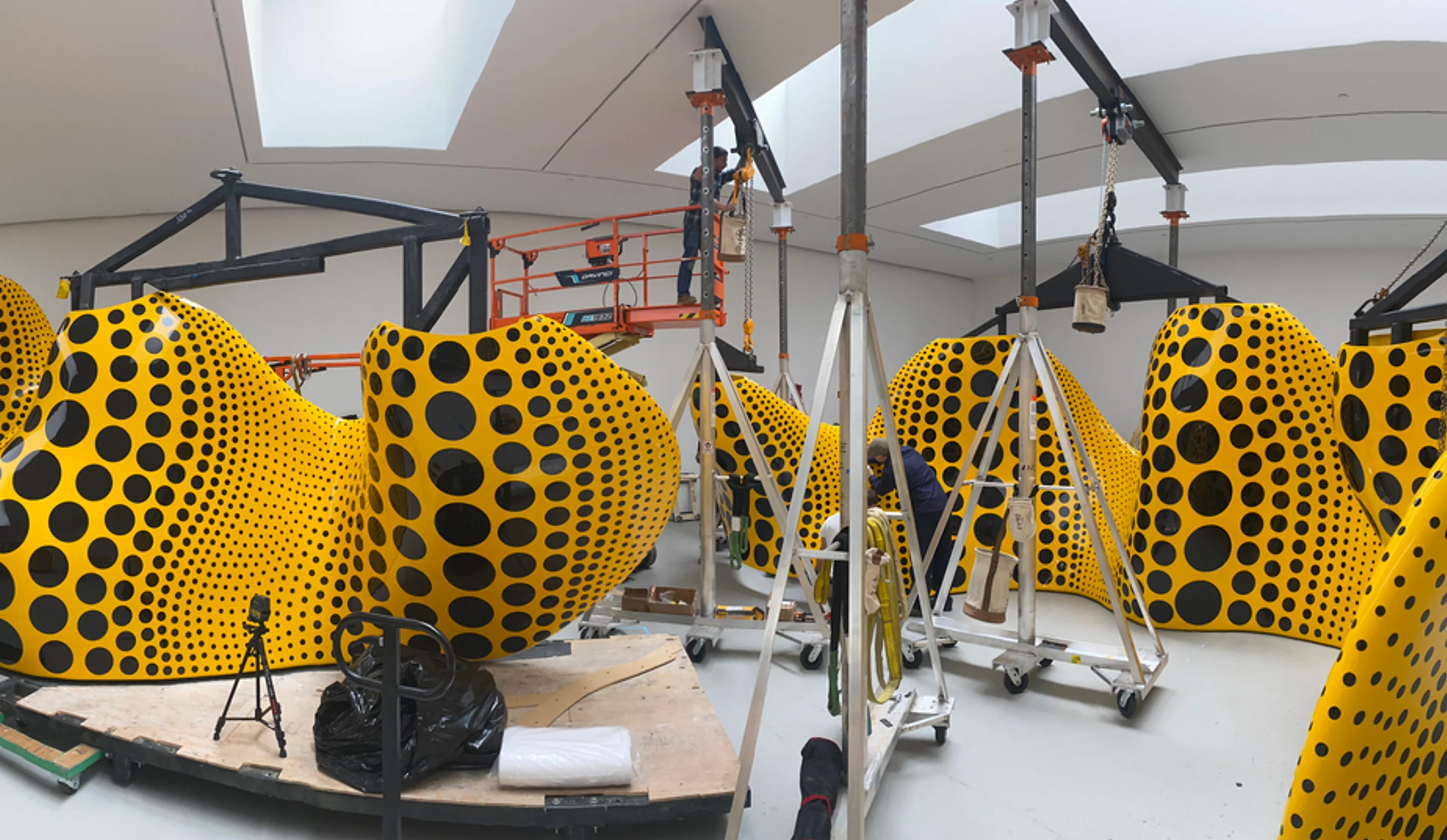 Yayoi Kusama pumpkin sculptures being rigged in gallery